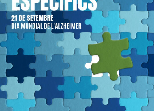 Cartel DMA Valenciano FEVAFA